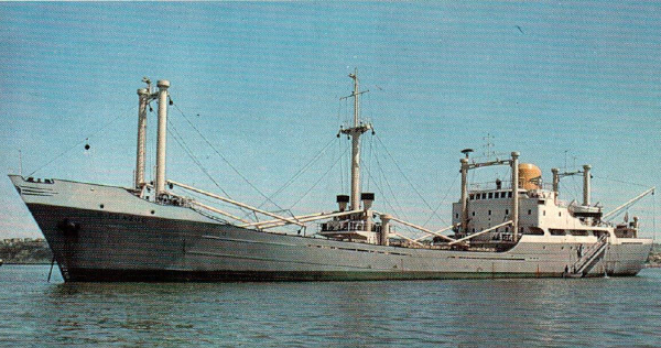 Picoazul - Colecci�n de J. Careaga